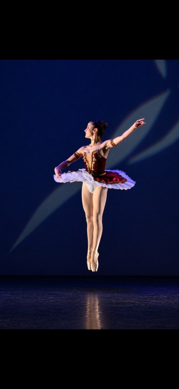 CONCOURS INTERNATIONAL DE DANSE CLASSIQUE DE TOULON


