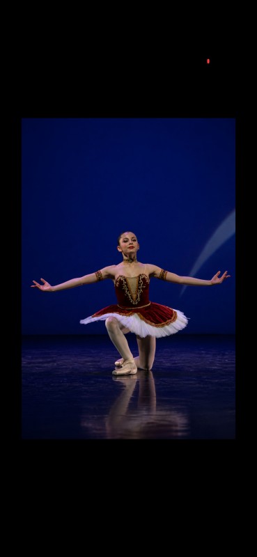 CONCOURS INTERNATIONAL DE DANSE CLASSIQUE DE TOULON


