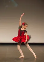 Notre zone d'activité pour ce service Ecole de danse classique pour tous niveaux avec professeurs expérimentés