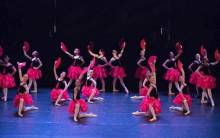 Nos prestations à Marseille (13007)